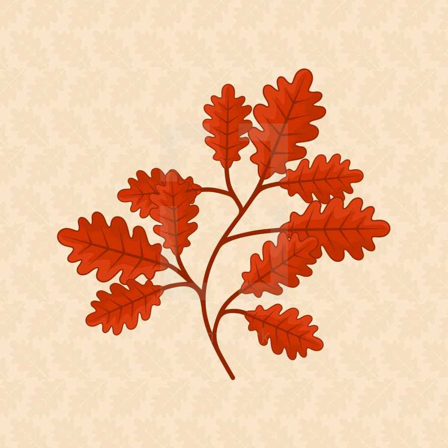 red oak leaves 