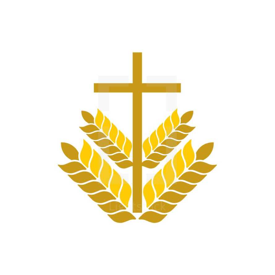 cross with wheat 
