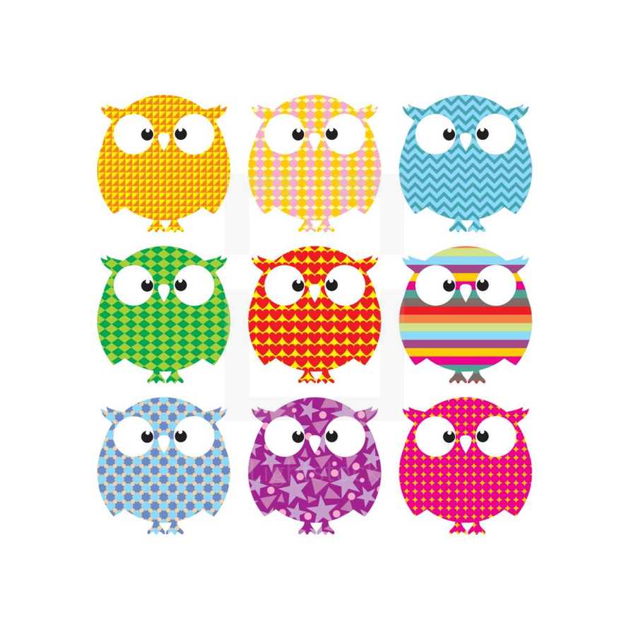 colorful owls 