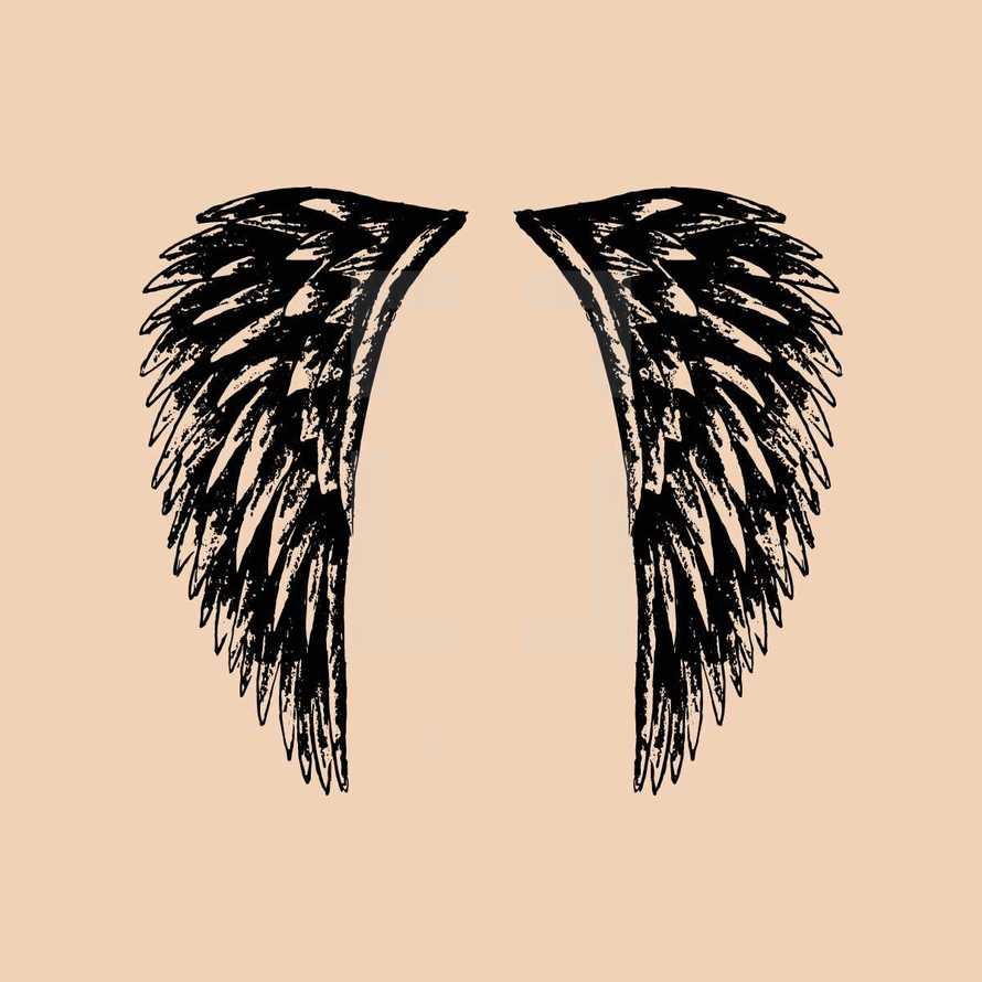 hand drawn wings.