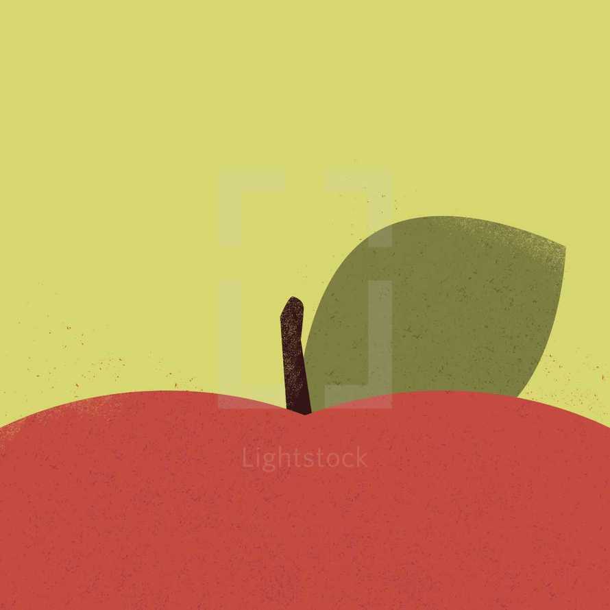 apple closeup 