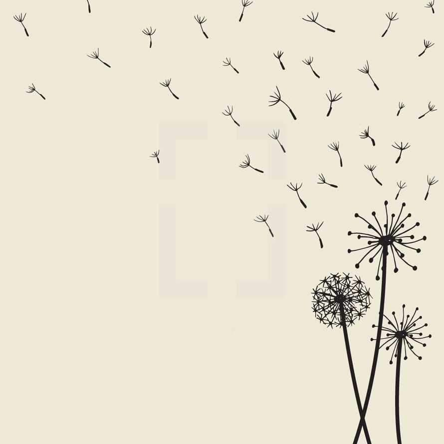 vector illustration of floating dandelion seeds blowing in the wind.