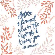 Before I formed you in the womb I knew you, Jeremiah 1:5