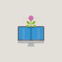 Flower growing out of a computer screen. 