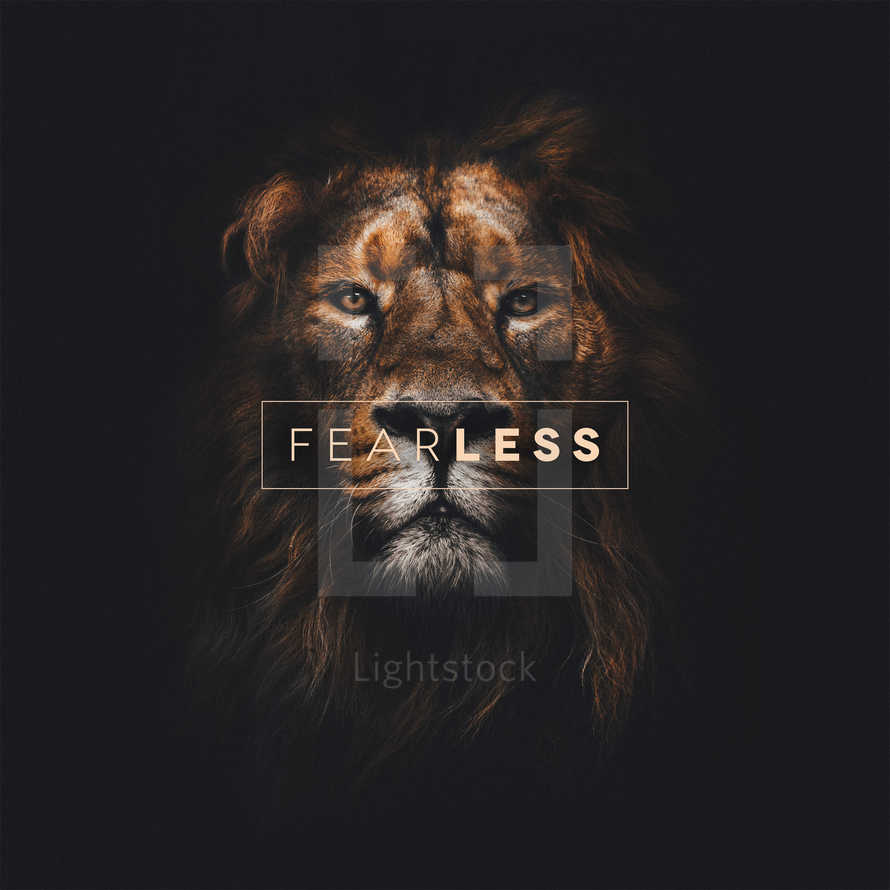 Fearless Social Graphic Lightstock