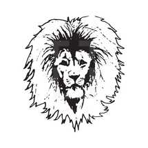 sketched lion head 
