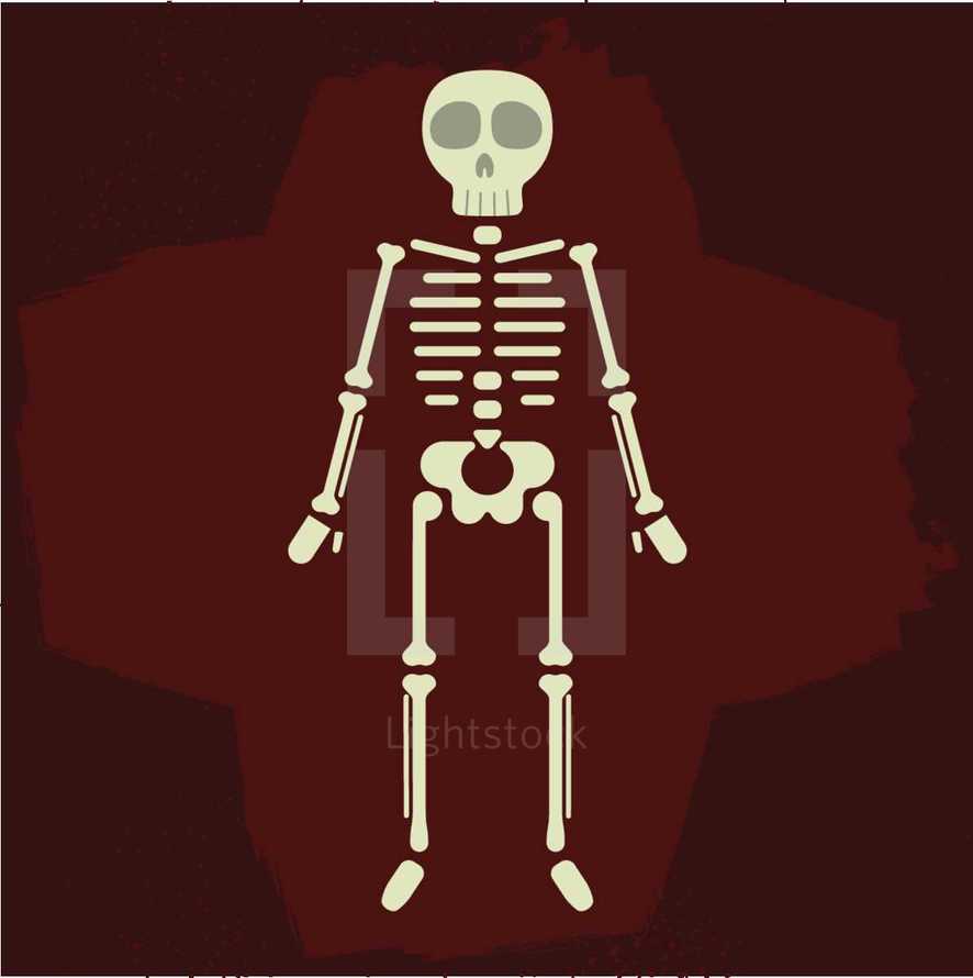skeleton 