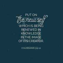 Put on a new self which is being renewed in knowledge in the image of its creator, Colossians 3:9-10
