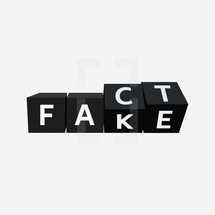 fact or fake icon