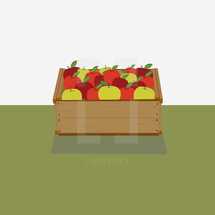 crate of fall apples 