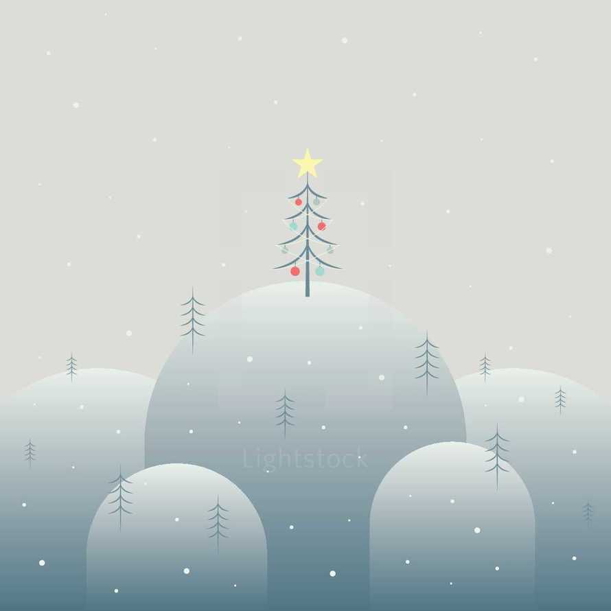 Christmas tree and winter 