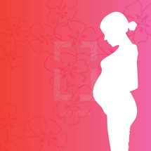 pregnancy vector illustration. 