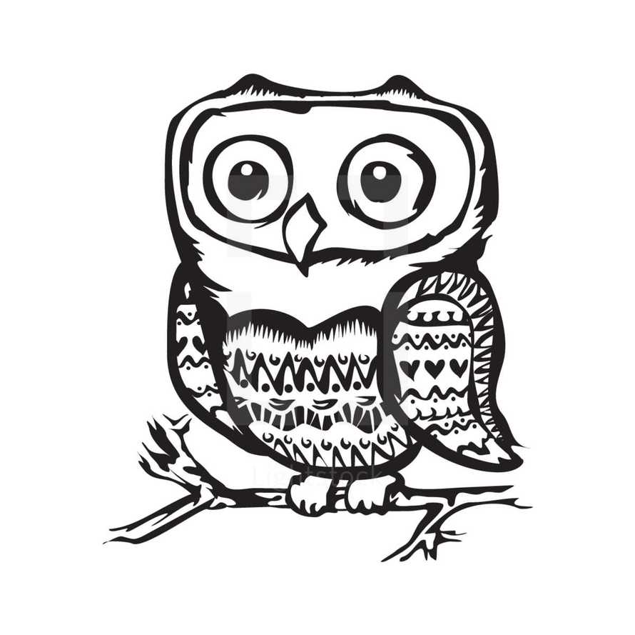 owl illustration 