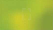 gradient light green and green background 