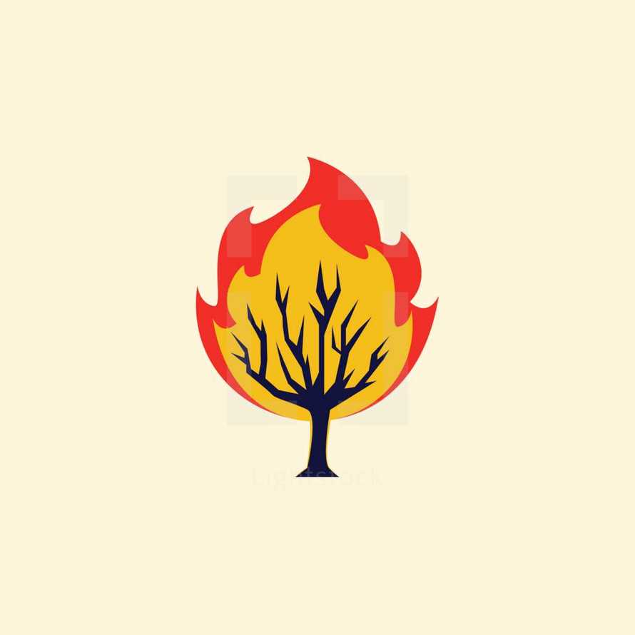 burning bush 